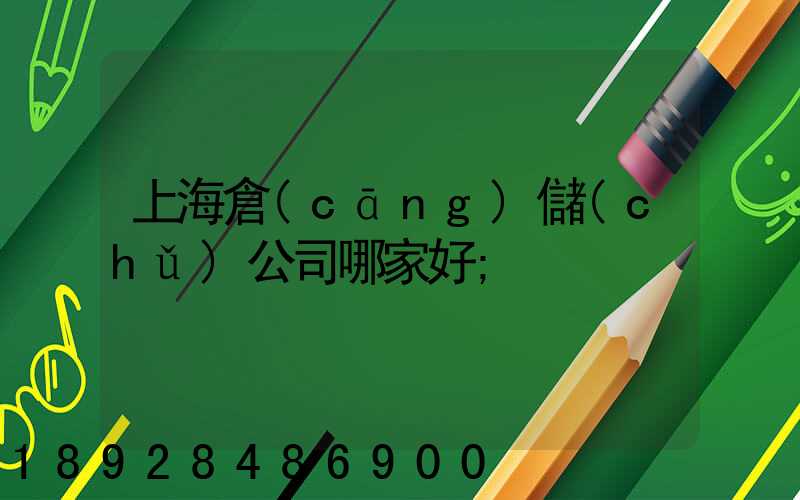 上海倉(cāng)儲(chǔ)公司哪家好