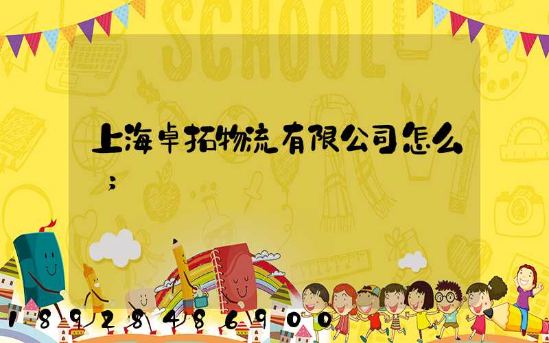 上海卓拓物流有限公司怎么樣