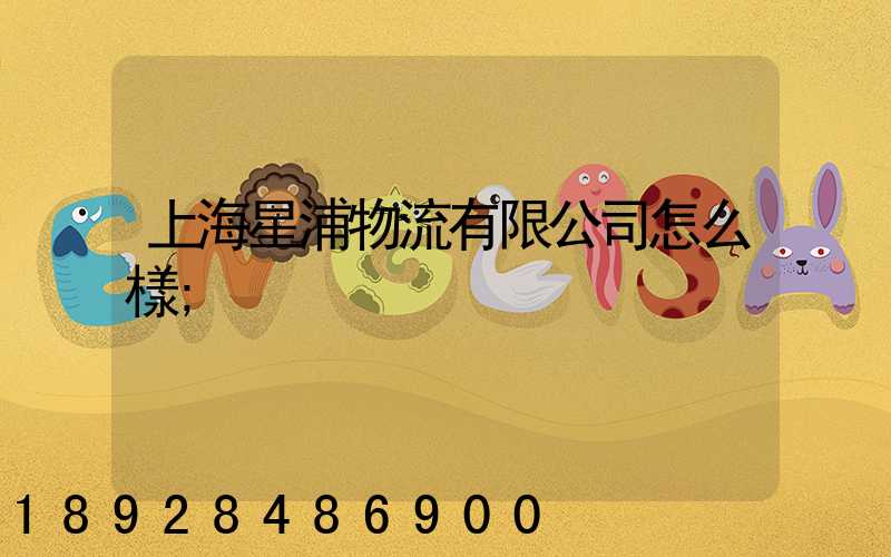 上海星浦物流有限公司怎么樣