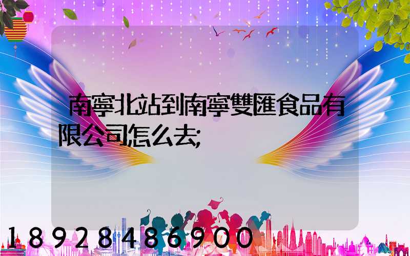 南寧北站到南寧雙匯食品有限公司怎么去