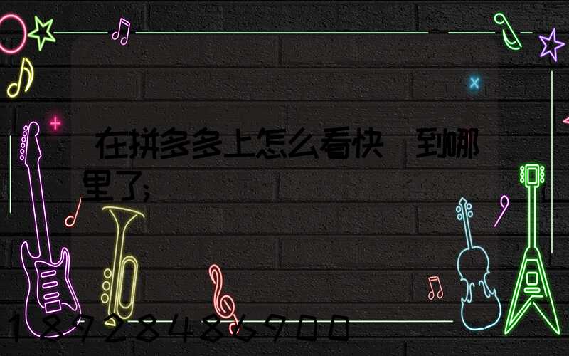 在拼多多上怎么看快遞到哪里了