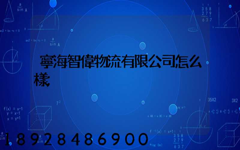 寧海智偉物流有限公司怎么樣