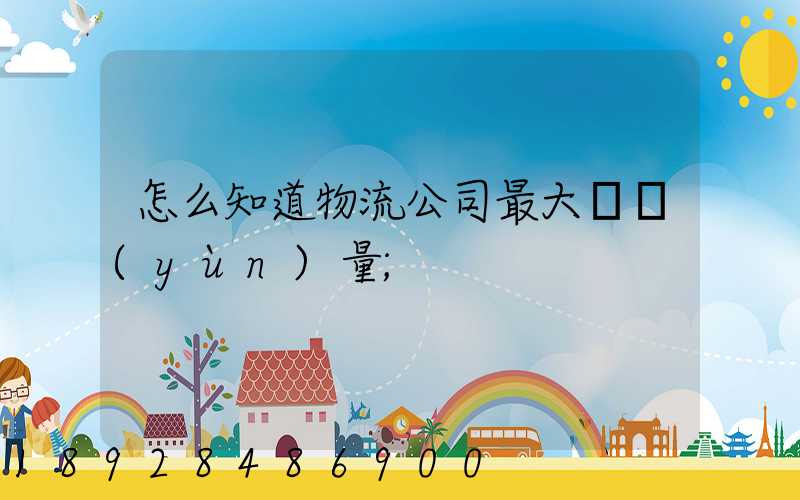 怎么知道物流公司最大貨運(yùn)量