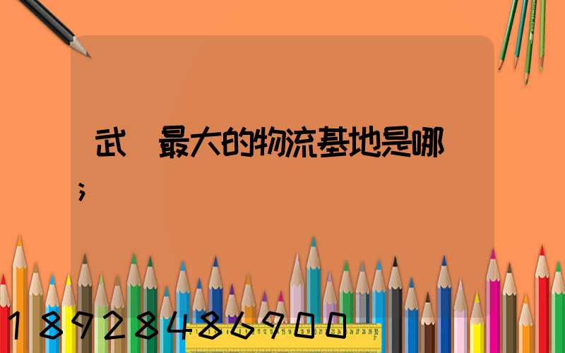 武漢最大的物流基地是哪個