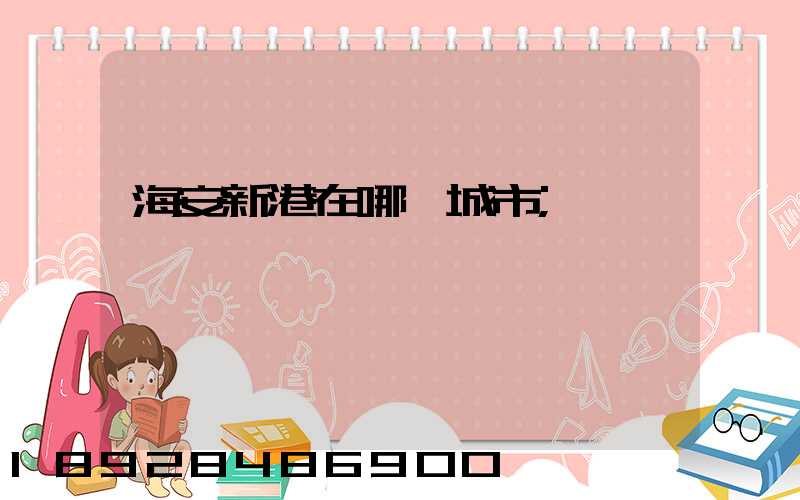 海安新港在哪個城市
