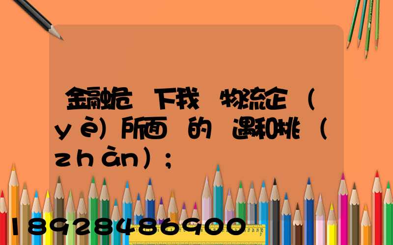 金融危機下我國物流企業(yè)所面對的機遇和挑戰(zhàn)
