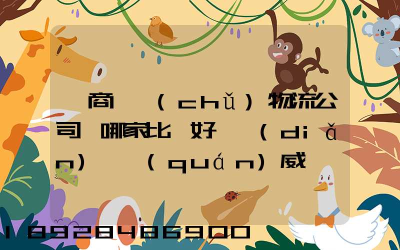 電商倉儲(chǔ)物流公司,哪家比較好一點(diǎn)、權(quán)威一點(diǎn)的